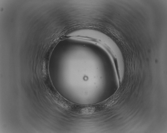 X0000067910700200605041644