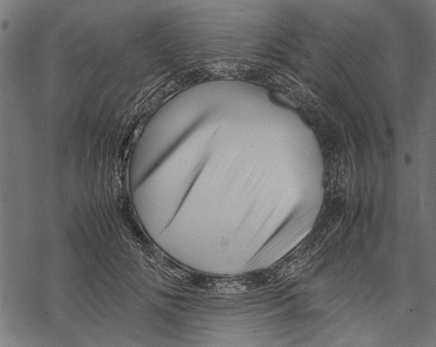 X0000067910702200605041643