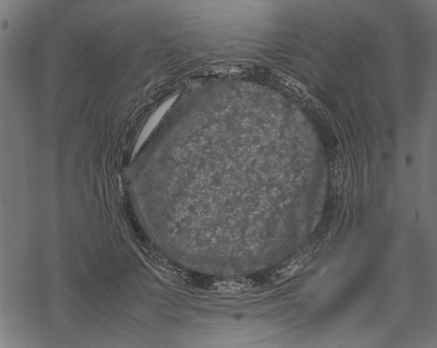 X0000067910703200605041643