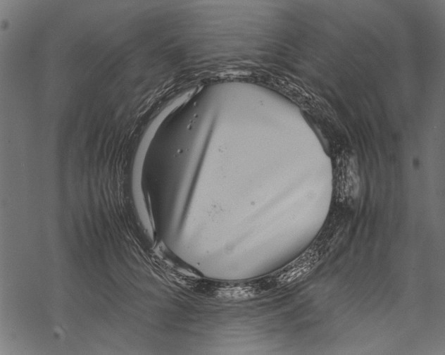 X0000067910704200605041643