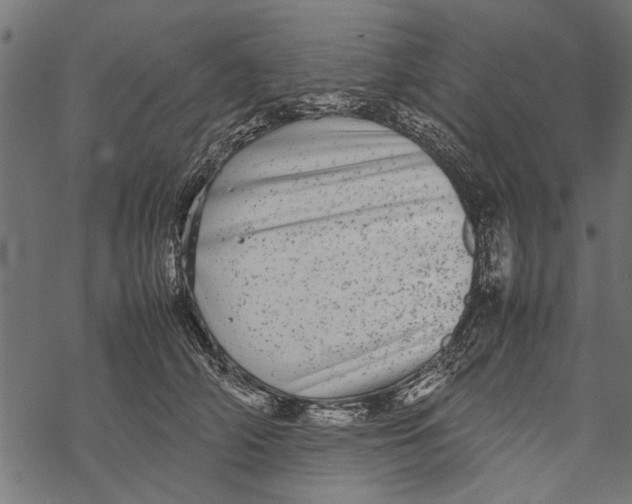 X0000067910706200605041643