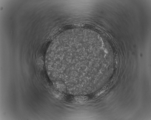 X0000067910707200605041643