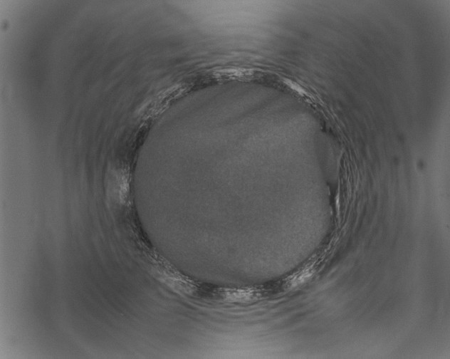 X0000067910709200605041643