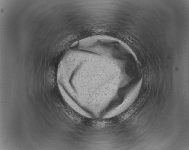 X0000067910710200605041643