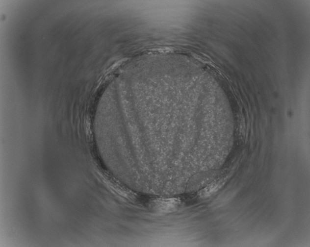 X0000067910711200605041643