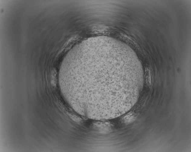 X0000067910712200605041643