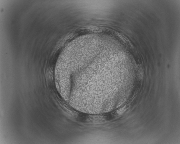 X0000067910713200605041643