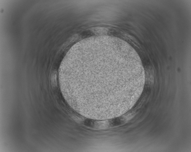 X0000067910717200605041643