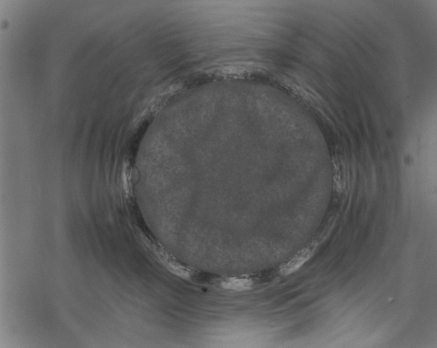 X0000067910718200605041643