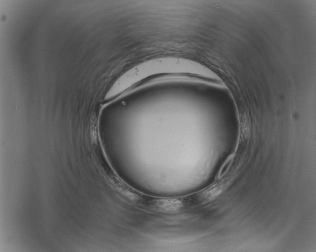 X0000067910719200605041643