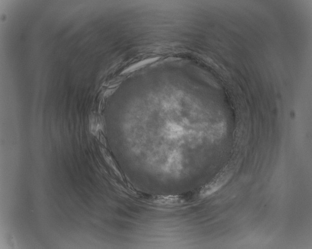 X0000067910720200605041643