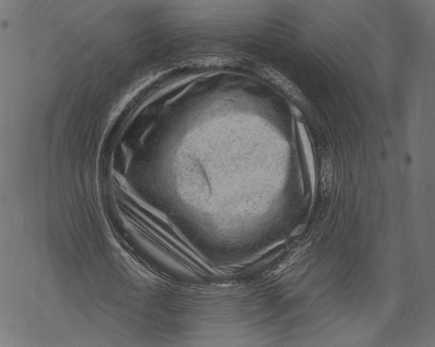 X0000067910722200605041642