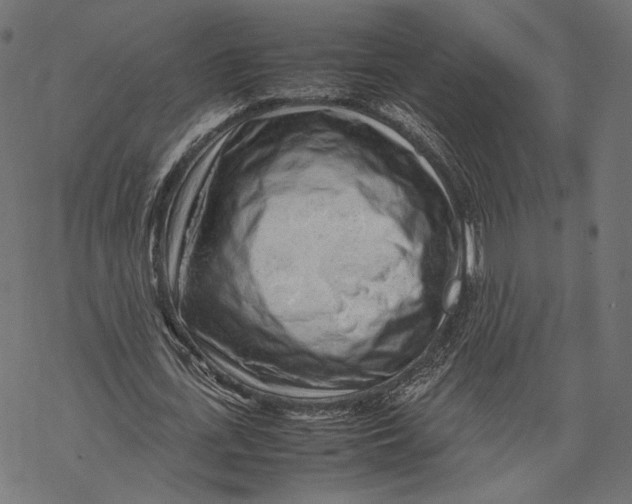 X0000067910723200605041642