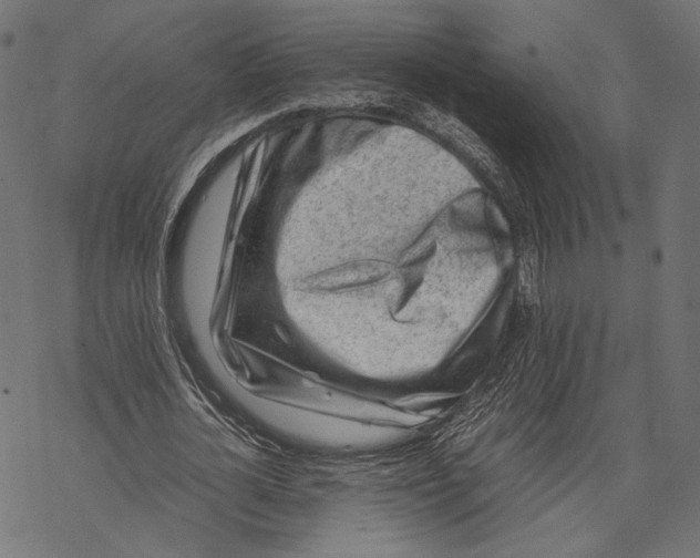 X0000067910724200605041642