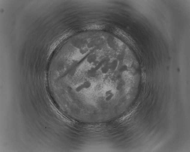 X0000067910725200605041642