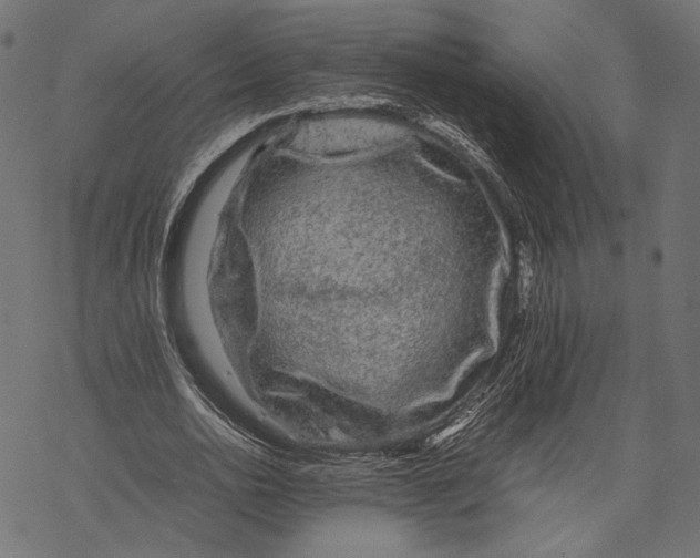 X0000067910726200605041642