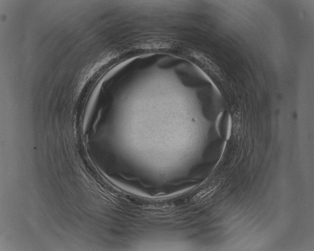 X0000067910727200605041642