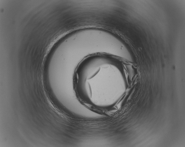 X0000067910728200605041643