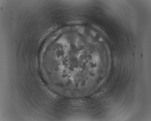 X0000067910729200605041643