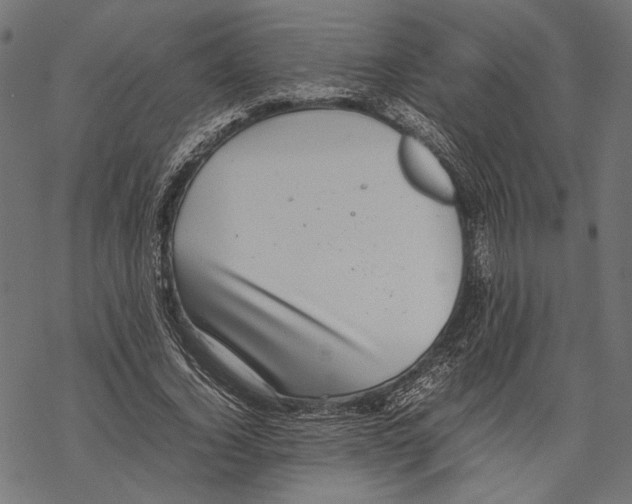 X0000067910732200605041643