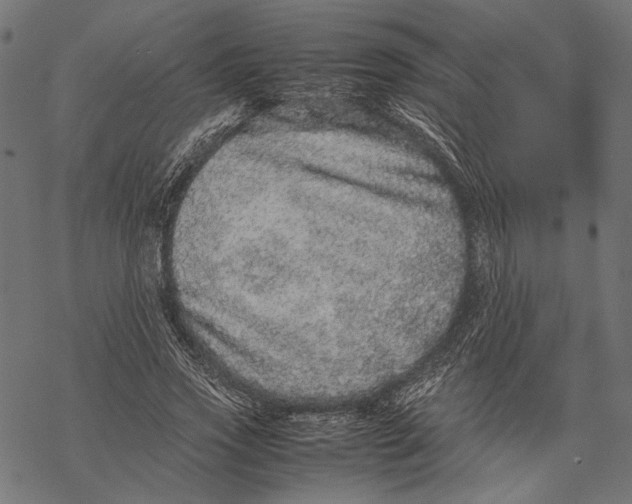 X0000067910733200605041643