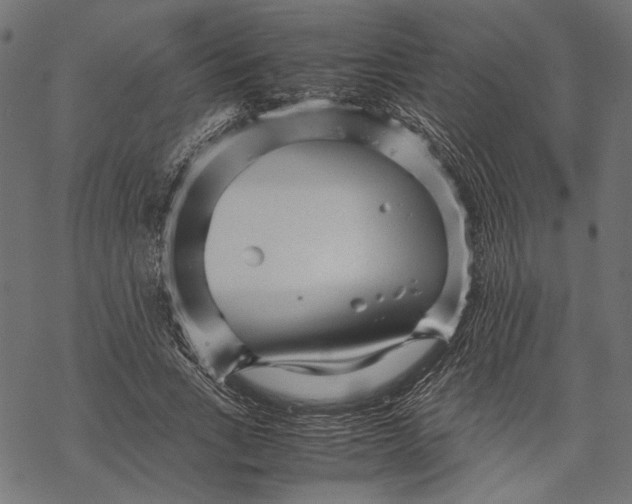 X0000067910735200605041643