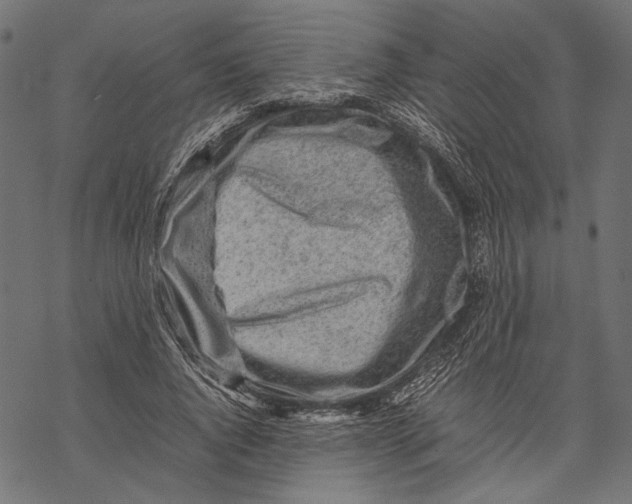 X0000067910736200605041643