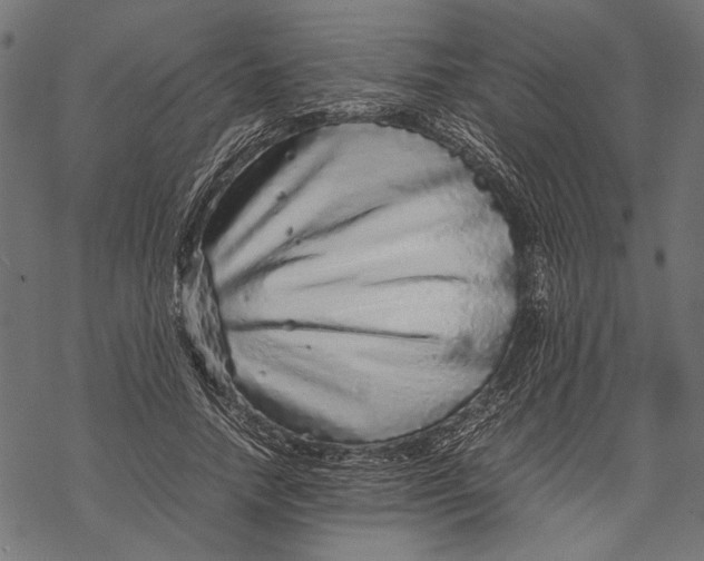 X0000067910738200605041643