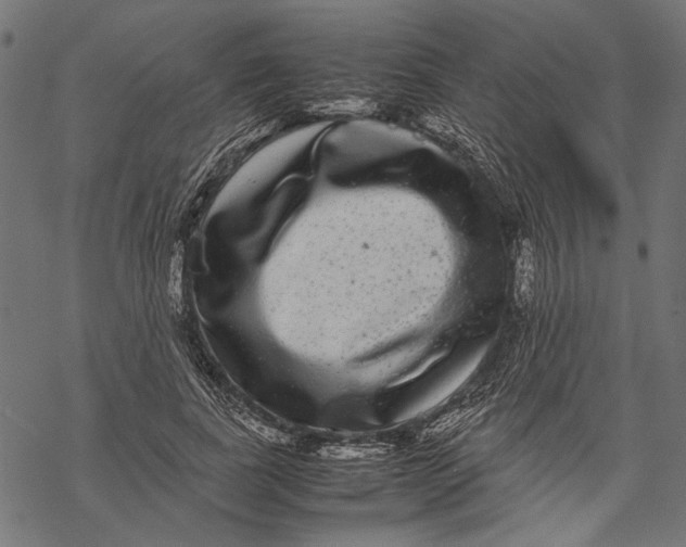 X0000067910739200605041643