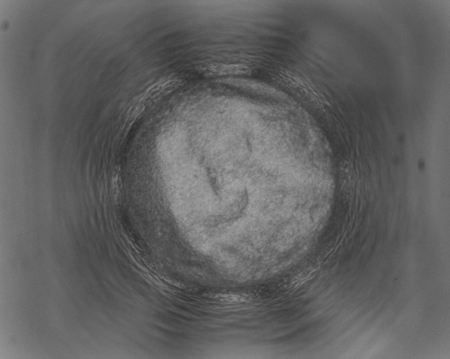 X0000067910741200605041643