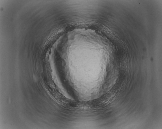 X0000067910742200605041643