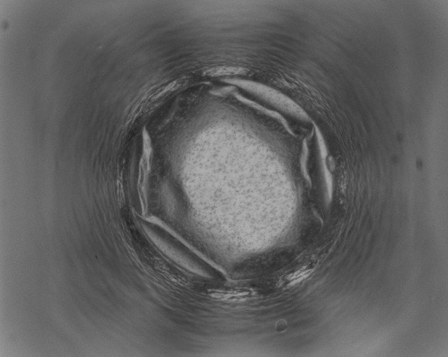 X0000067910743200605041643