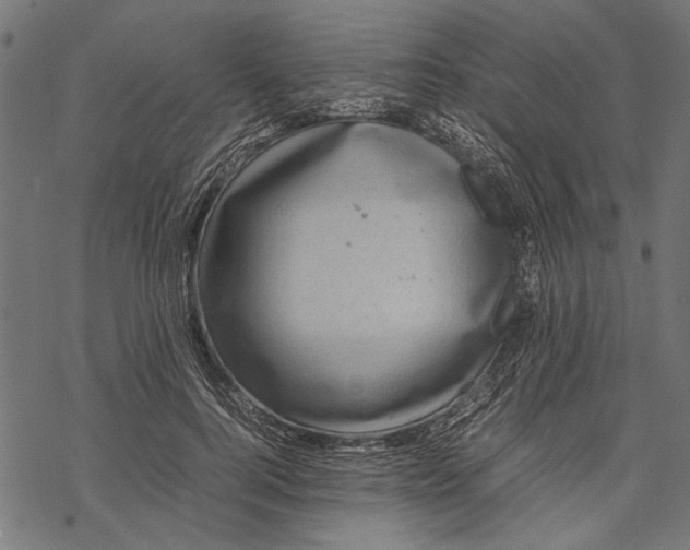 X0000067910744200605041643