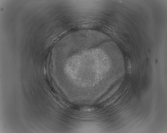 X0000067910746200605041643