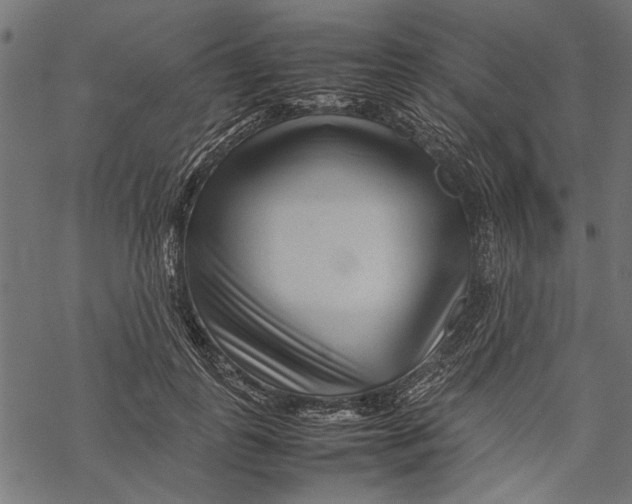 X0000067910747200605041643