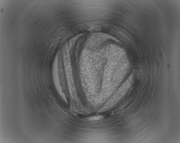 X0000067910748200605041643