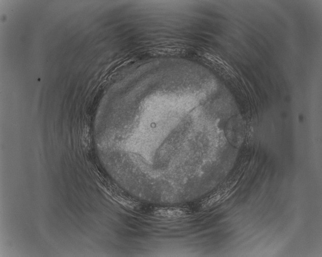 X0000067910749200605041643