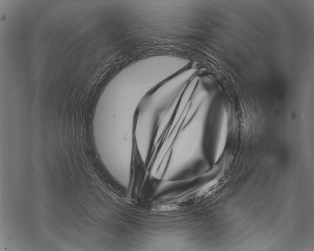 X0000067910750200605041643