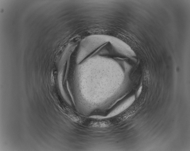 X0000067910751200605041643