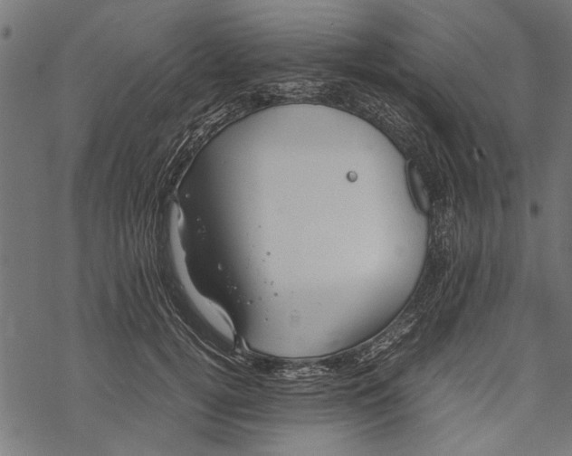 X0000067910752200605041643