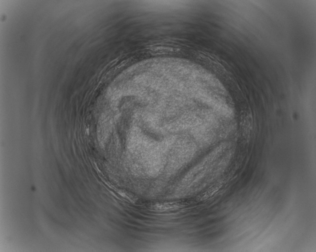 X0000067910753200605041643