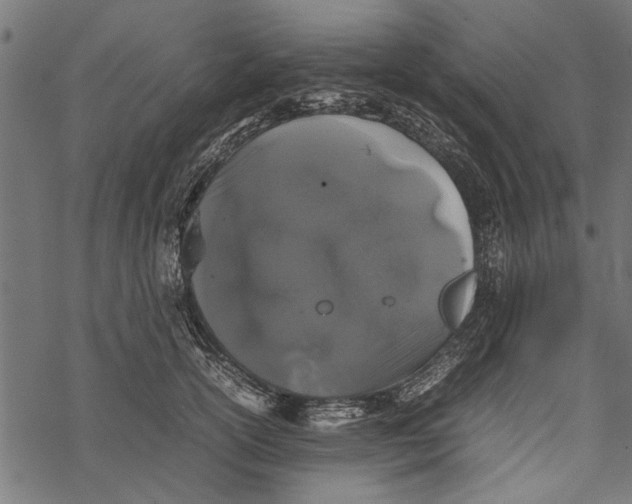 X0000067910754200605041643