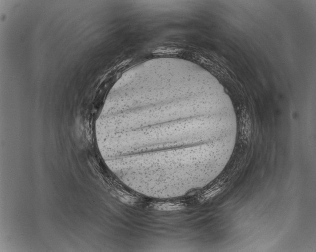 X0000067910755200605041643