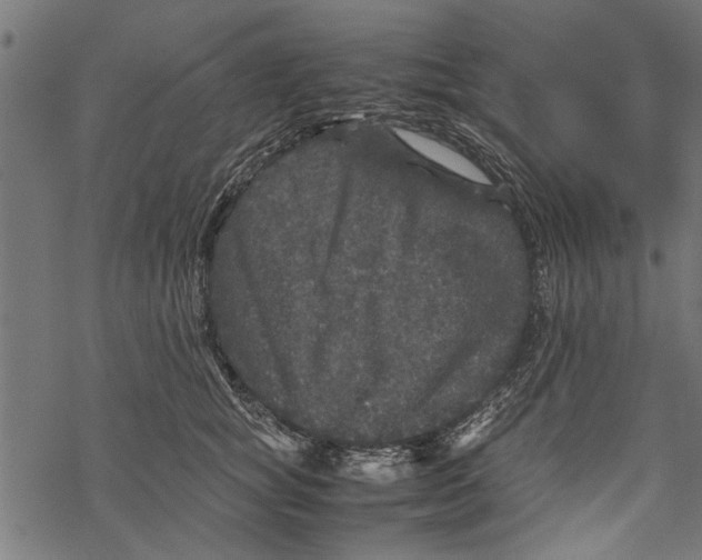 X0000067910757200605041643