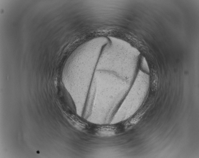 X0000067910758200605041643