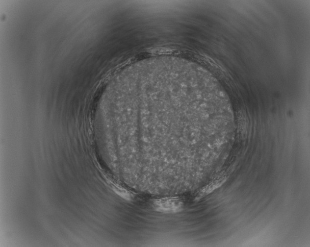 X0000067910761200605041643