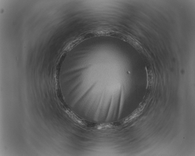 X0000067910762200605041643