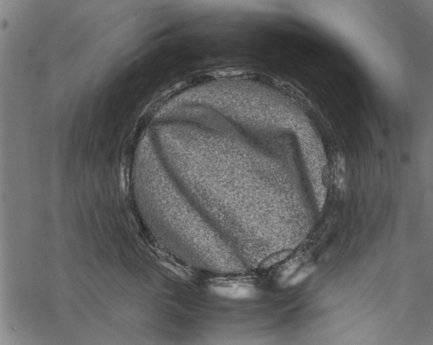 X0000067910763200605041643