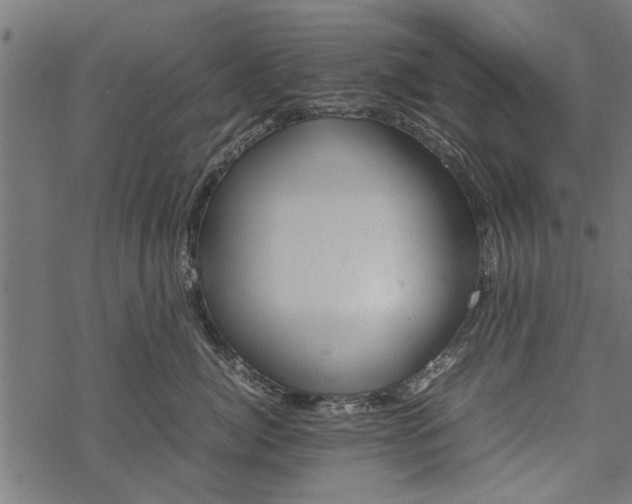 X0000067910764200605041643