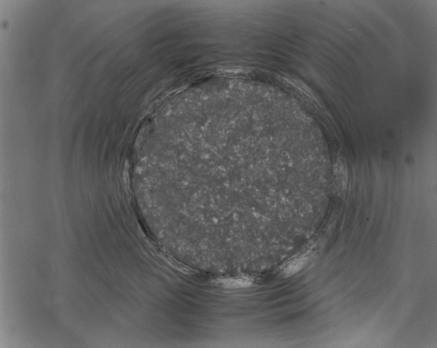 X0000067910765200605041643